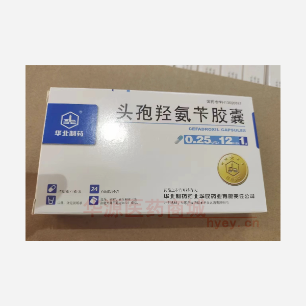 优选 头孢羟氨苄胶囊