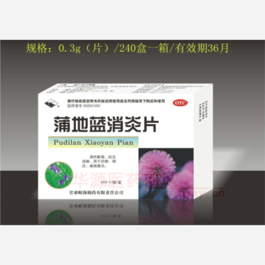 蒲地蓝消炎片