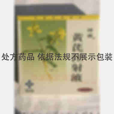 黄芪注射液 10ml*5支 神威药业集团有限公司