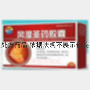 风湿圣药胶囊 0.3g*15s*2板 吉林省松辽制药有限公司