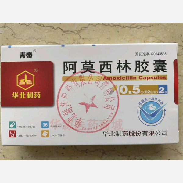 优选 阿莫西林胶囊