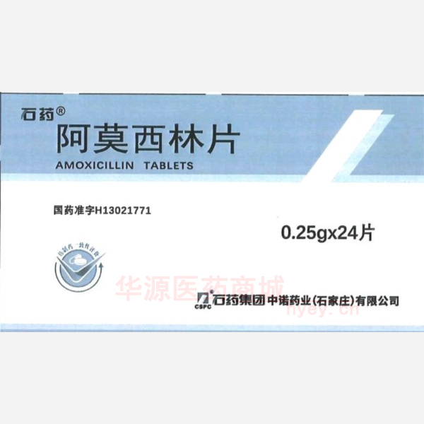 优选 阿莫西林片