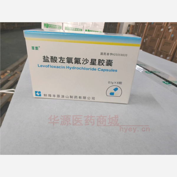 优选 盐酸左氧氟沙星胶