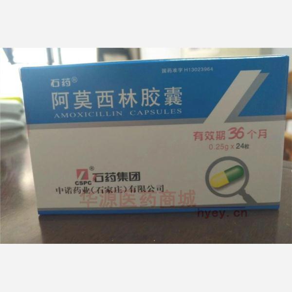 优选 阿莫西林胶囊