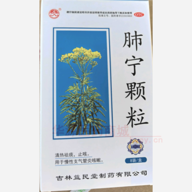 肺宁颗粒 10g*8袋 吉林益民堂制药有限公司
