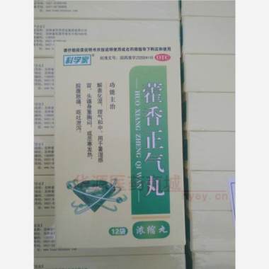 藿香正气丸(浓缩 8丸*12袋 吉林省华侨药业集团有限公司