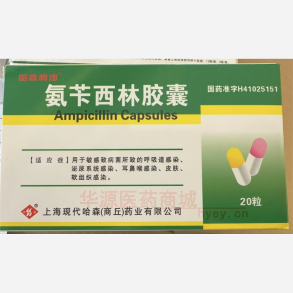 优选 氨苄西林胶囊
