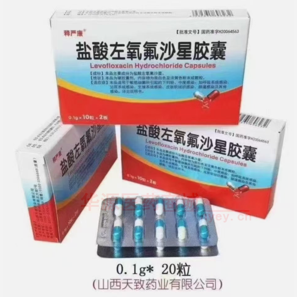 优选 盐酸左氧氟沙星胶