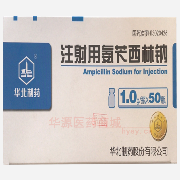 优选 注射用氨苄西林钠