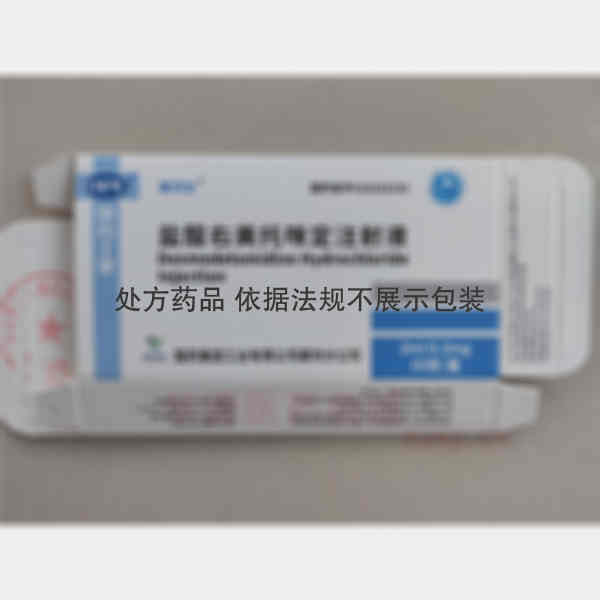 优选 盐酸右美托咪定注