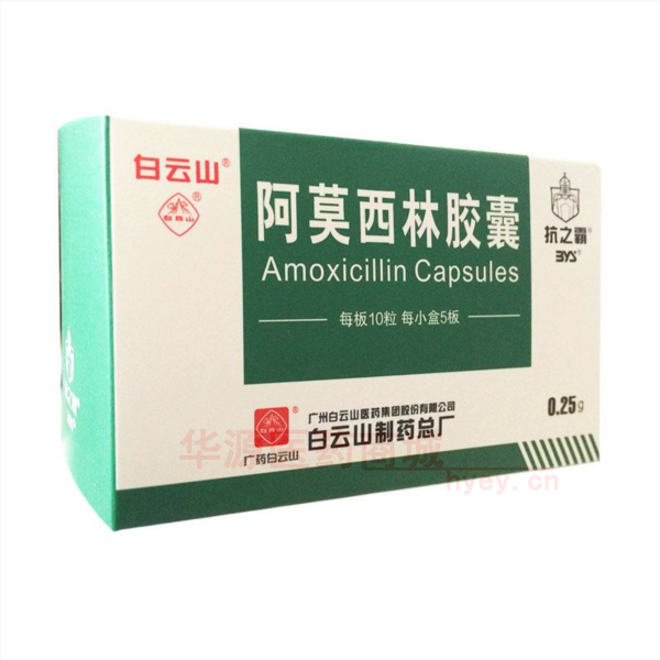 优选 阿莫西林胶囊