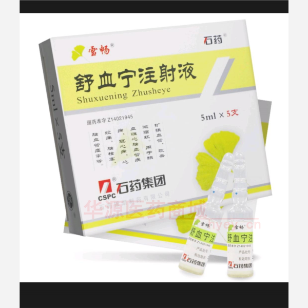 优选 舒血宁注射液