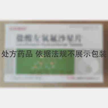 盐酸左氧氟沙星片