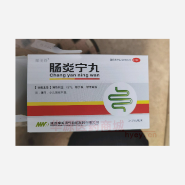 肠炎宁丸 2*27丸 陕西摩美得气血和制药有限公司