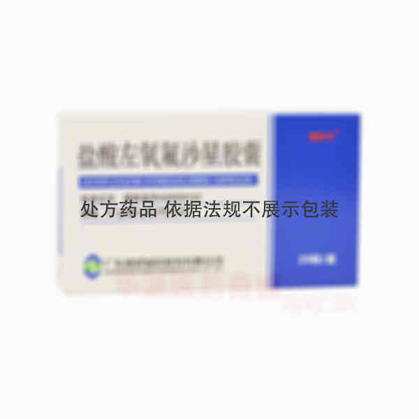 优选 盐酸左氧氟沙星胶