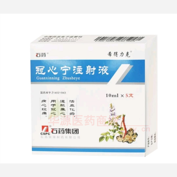 优选 冠心宁注射液
