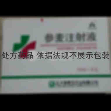 参麦注射液 10ml*6支 正大青春宝药业有限公司