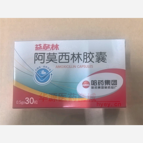 优选 阿莫西林胶囊（益