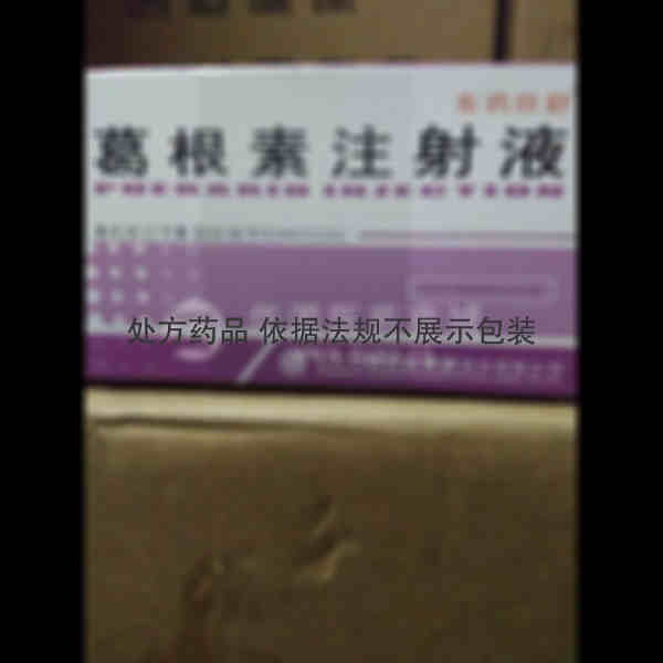 优选 葛根素注射液