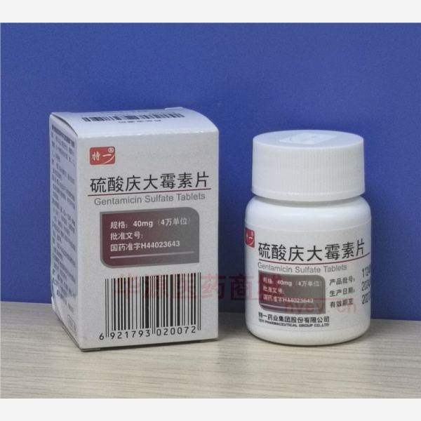 优选 硫酸庆大霉素片（