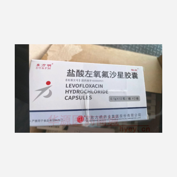 优选 盐酸左氧氟沙星胶