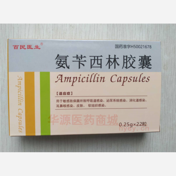 优选 氨苄西林胶囊（双