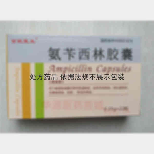 优选 氨苄西林胶囊（双