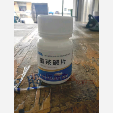 优选 氨茶碱片