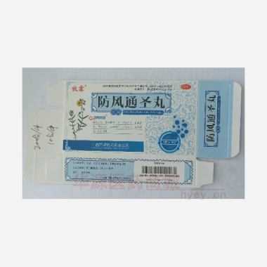 防风通圣丸 6g*10袋 山西万辉制药有限公司