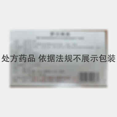 罗汉果茶 14g*10块 广西正堂药业有限责任公司