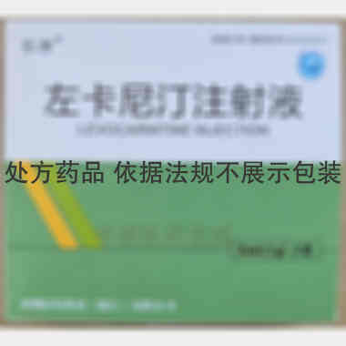 左卡尼汀注射液 5ml:1g 浙江北生药业汉生制药有限公司