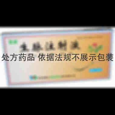 生脉注射液 10ml*10支 吉林省集安益盛药业股份有限公司