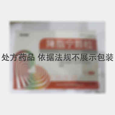 降脂宁颗粒 10g*9袋 吉林省银诺克药业有限公司