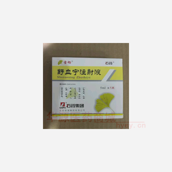 优选 舒血宁注射液