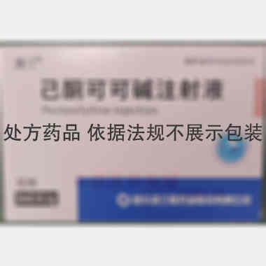优选 己酮可可碱注射液