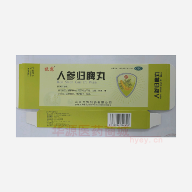 人参归脾丸 9g*10丸 山西万辉制药有限公司