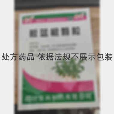 优选 板蓝根颗粒