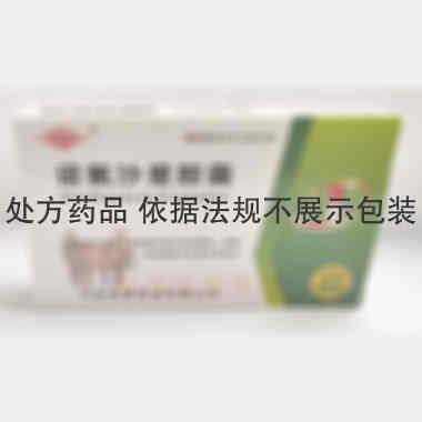 优选 诺氟沙星胶囊