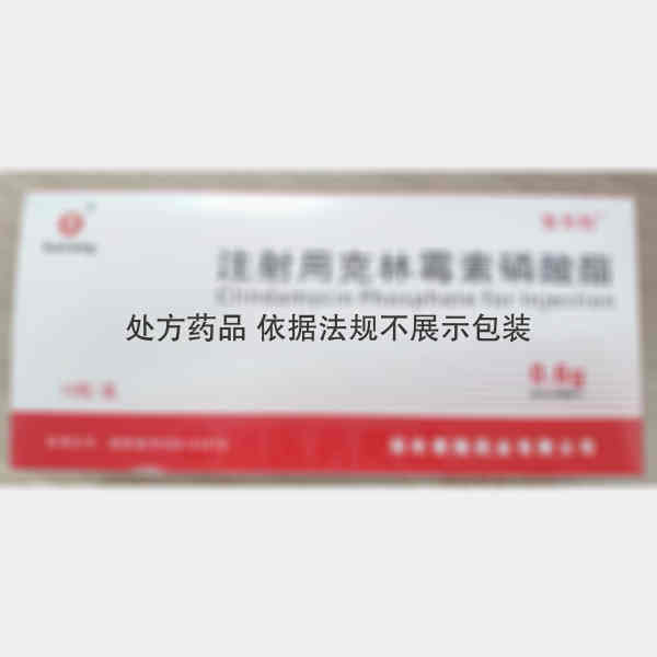 优选 注射用克林霉素磷