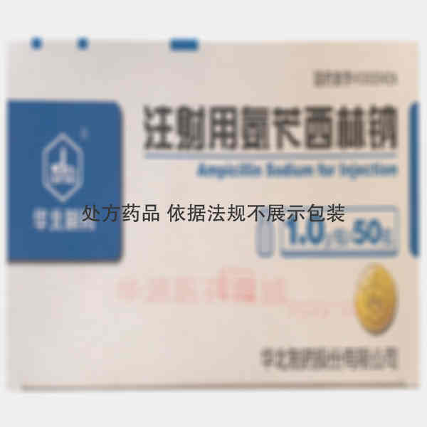 优选 注射用氨苄西林钠