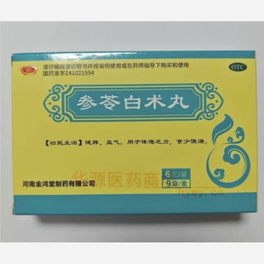 参苓白术丸 6g*9袋 河南金鸿堂制药有限公司