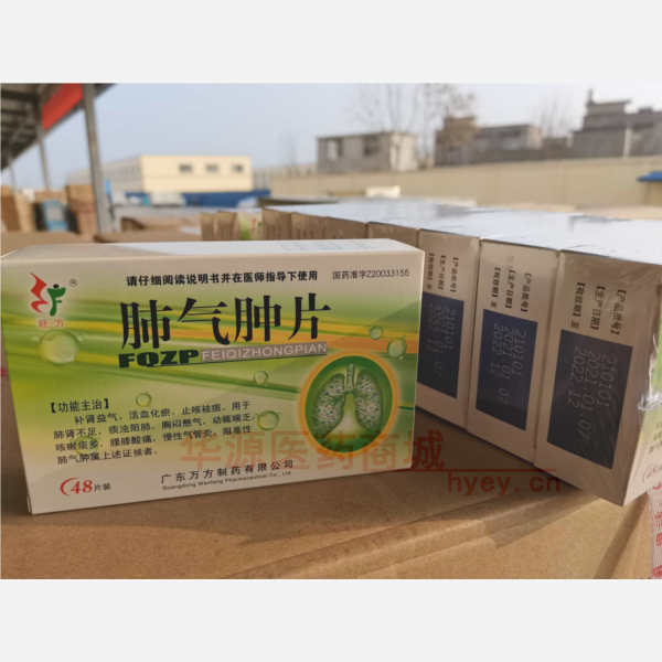 优选 肺气肿片