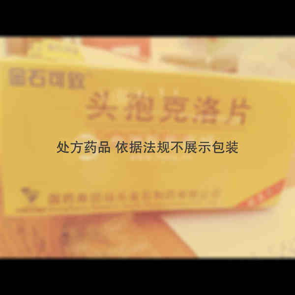 优选 头孢克洛片(金石