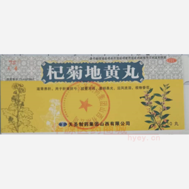 杞菊地黄丸 9g*10丸 天圣制药集团山西有限公司