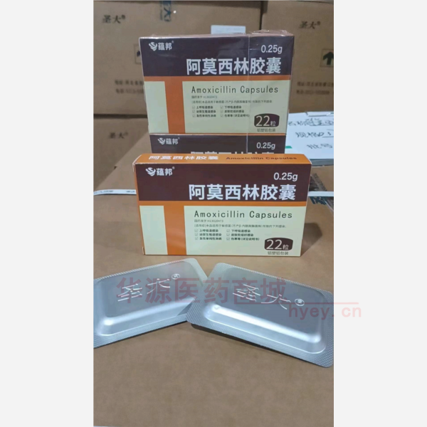 优选 阿莫西林胶囊(双