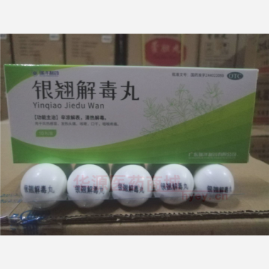 银翘解毒丸（大蜜 9g*10丸 广东瑞洋制药有限公司