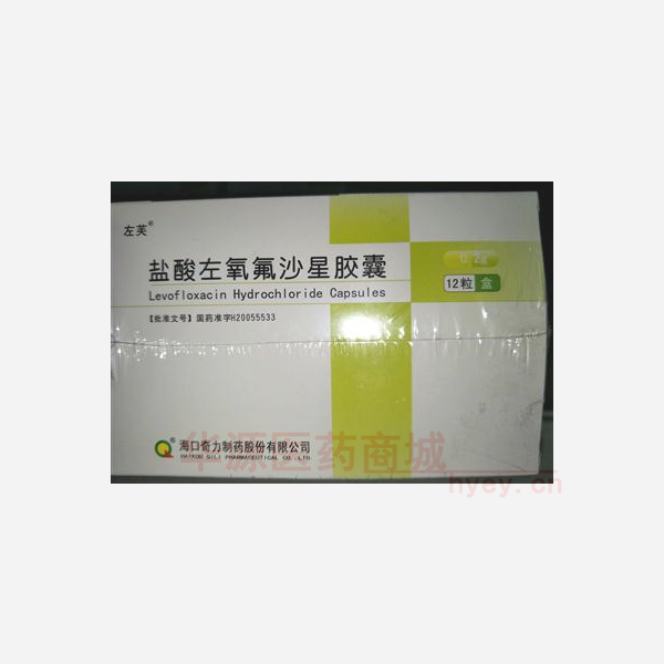 优选 盐酸左氧氟沙星胶