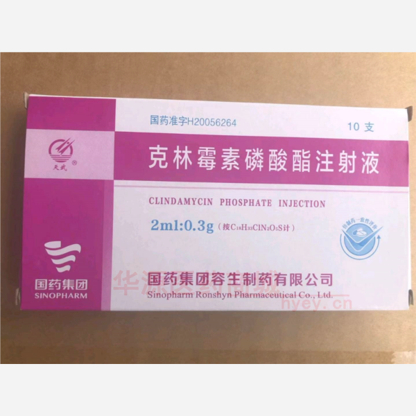 优选 克林霉素磷酸酯注