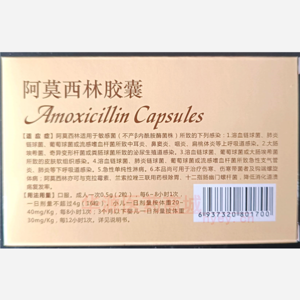 优选 阿莫西林胶囊(双