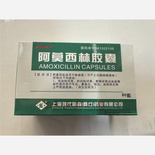 优选 阿莫西林胶囊